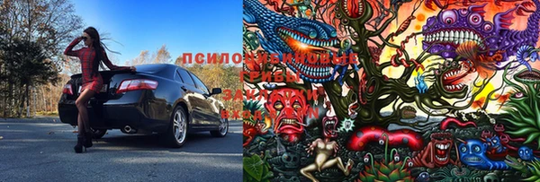 стафф Белоозёрский