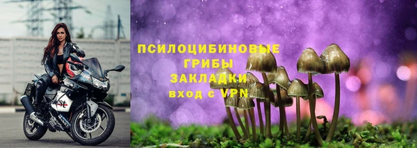 прущий лед Белокуриха
