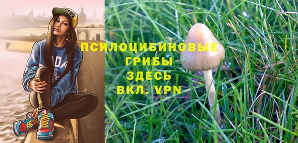 гидра Беломорск