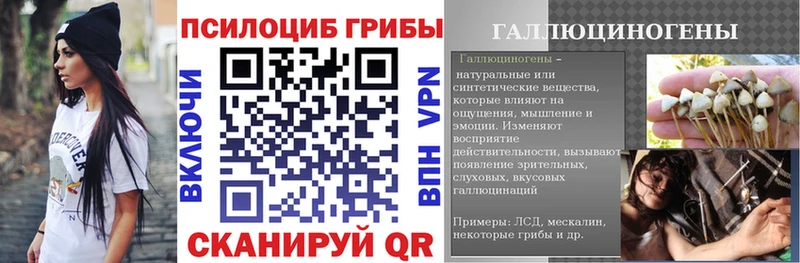 Галлюциногенные грибы Cubensis  продажа наркотиков  Дальнегорск 